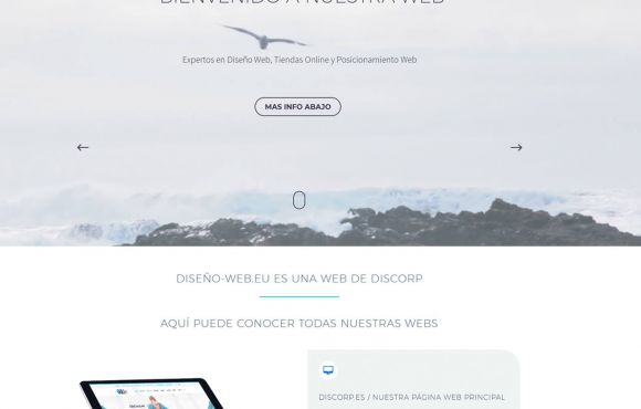 Página Web Diseño Web eu