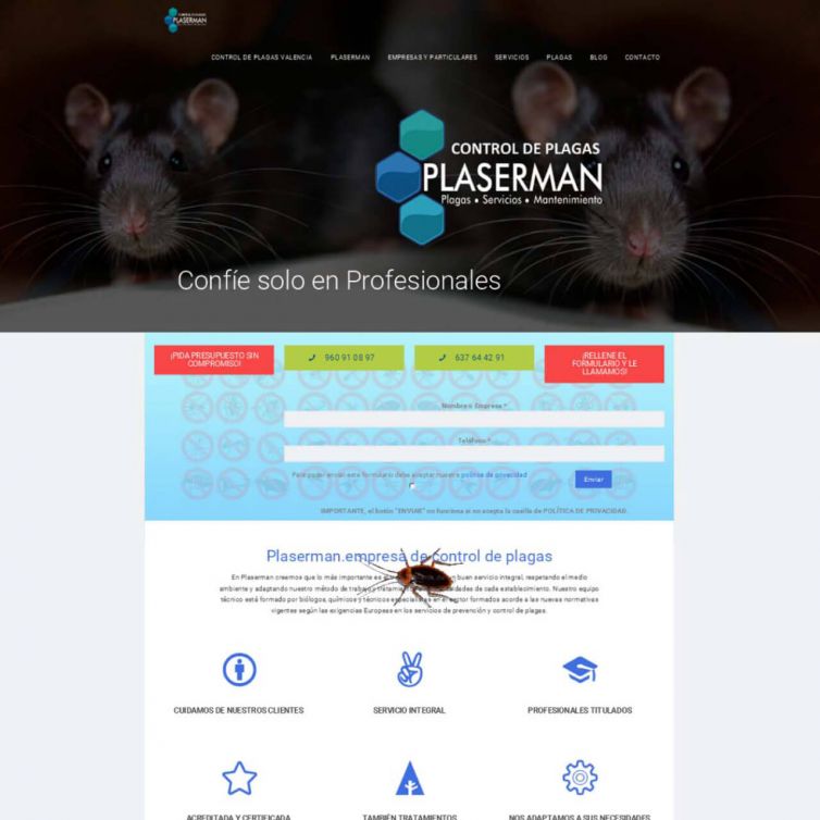 Página Web Plaserman